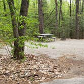 Review photo of White Lake State Park Campground by Jean C., June 10, 2019