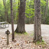 Review photo of White Lake State Park Campground by Jean C., June 10, 2019