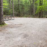 Review photo of White Lake State Park Campground by Jean C., June 10, 2019