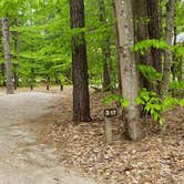 Review photo of White Lake State Park Campground by Jean C., June 10, 2019