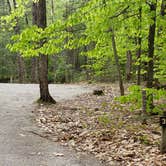 Review photo of White Lake State Park Campground by Jean C., June 10, 2019