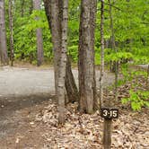 Review photo of White Lake State Park Campground by Jean C., June 10, 2019