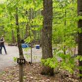 Review photo of White Lake State Park Campground by Jean C., June 10, 2019