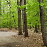 Review photo of White Lake State Park Campground by Jean C., June 10, 2019