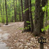 Review photo of White Lake State Park Campground by Jean C., June 10, 2019