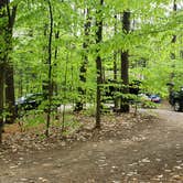 Review photo of White Lake State Park Campground by Jean C., June 10, 2019