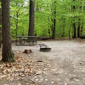 Review photo of White Lake State Park Campground by Jean C., June 10, 2019