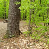 Review photo of White Lake State Park Campground by Jean C., June 10, 2019