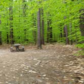 Review photo of White Lake State Park Campground by Jean C., June 10, 2019