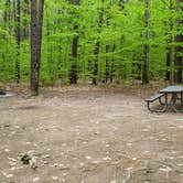 Review photo of White Lake State Park Campground by Jean C., June 10, 2019