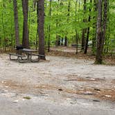 Review photo of White Lake State Park Campground by Jean C., June 10, 2019