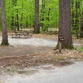 Review photo of White Lake State Park Campground by Jean C., June 10, 2019