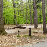 Review photo of White Lake State Park Campground by Jean C., June 10, 2019