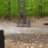 Review photo of White Lake State Park Campground by Jean C., June 10, 2019