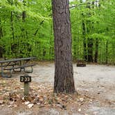 Review photo of White Lake State Park Campground by Jean C., June 10, 2019