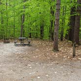 Review photo of White Lake State Park Campground by Jean C., June 10, 2019