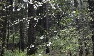 Camping near Malakoff Diggins State Historic Park: Skillman, Washington, California