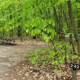 Review photo of White Lake State Park Campground by Jean C., June 10, 2019