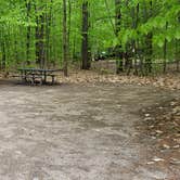 Review photo of White Lake State Park Campground by Jean C., June 10, 2019