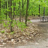 Review photo of White Lake State Park Campground by Jean C., June 10, 2019