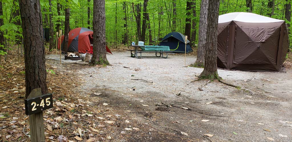 Jean C.'s photo at White Lake State Park Campground near Center Ossipee, NH