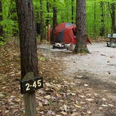 Review photo of White Lake State Park Campground by Jean C., June 10, 2019