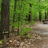 Review photo of White Lake State Park Campground by Jean C., June 10, 2019