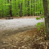 Review photo of White Lake State Park Campground by Jean C., June 10, 2019