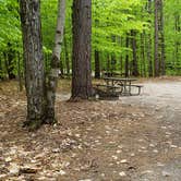 Review photo of White Lake State Park Campground by Jean C., June 10, 2019