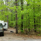 Review photo of White Lake State Park Campground by Jean C., June 10, 2019