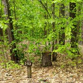 Review photo of White Lake State Park Campground by Jean C., June 10, 2019