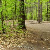 Review photo of White Lake State Park Campground by Jean C., June 10, 2019