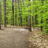 Review photo of White Lake State Park Campground by Jean C., June 10, 2019