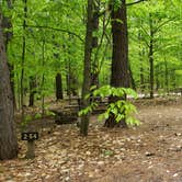 Review photo of White Lake State Park Campground by Jean C., June 10, 2019