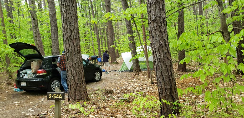 Jean C.'s photo at White Lake State Park Campground near Center Sandwich, NH