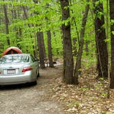 Review photo of White Lake State Park Campground by Jean C., June 10, 2019