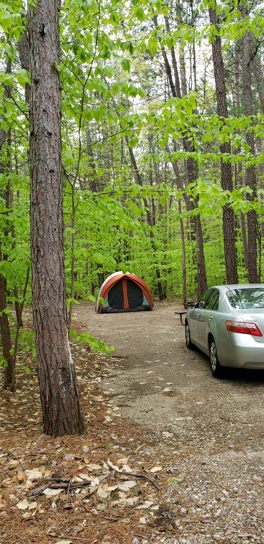 Jean C.'s photo at White Lake State Park Campground near Tuftonboro, NH