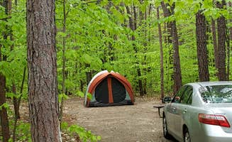 Jean C.'s photo at White Lake State Park Campground near Tuftonboro, NH