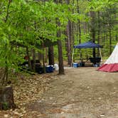 Review photo of White Lake State Park Campground by Jean C., June 10, 2019