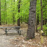 Review photo of White Lake State Park Campground by Jean C., June 10, 2019