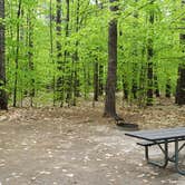 Review photo of White Lake State Park Campground by Jean C., June 10, 2019