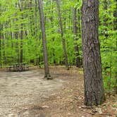 Review photo of White Lake State Park Campground by Jean C., June 10, 2019