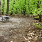 Review photo of White Lake State Park Campground by Jean C., June 10, 2019