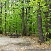 Review photo of White Lake State Park Campground by Jean C., June 10, 2019