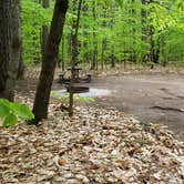 Review photo of White Lake State Park Campground by Jean C., June 10, 2019