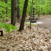 Review photo of White Lake State Park Campground by Jean C., June 10, 2019