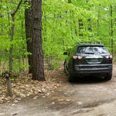 Review photo of White Lake State Park Campground by Jean C., June 10, 2019