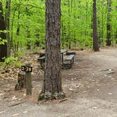 Review photo of White Lake State Park Campground by Jean C., June 10, 2019