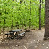 Review photo of White Lake State Park Campground by Jean C., June 10, 2019