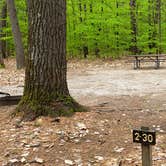 Review photo of White Lake State Park Campground by Jean C., June 10, 2019